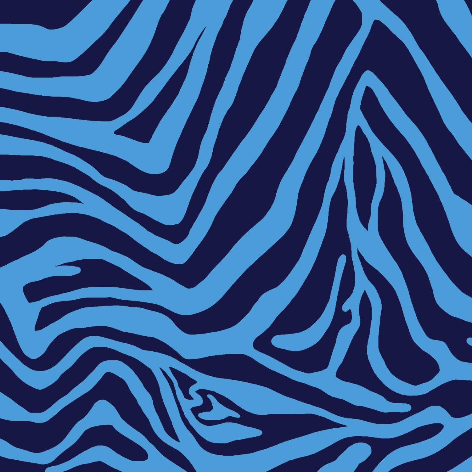 Cecilia Print Sleeveless Mock Dress – 58932